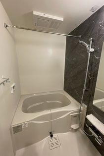 アベリアの画像