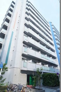 DORMOUSE FINEの画像