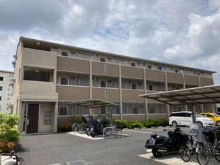 グランドソレイユの画像