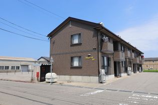 パルムドール01の画像