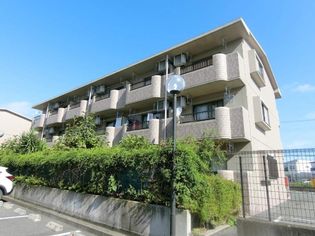 グランマレ.デュオの画像