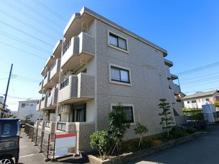 ルーシッドコートの画像