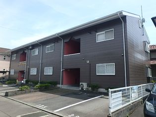 ロサアマリラの画像