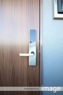 Mondo Fuji IIIの画像