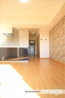 Mondo Fuji IIIの画像