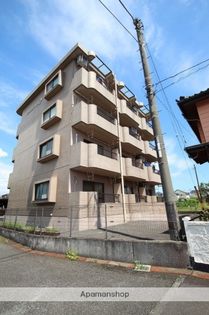 センチュリー秋桜の画像