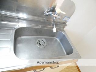 ハイツルピナスの画像