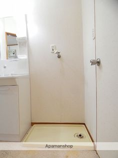 ハイツルピナスの画像