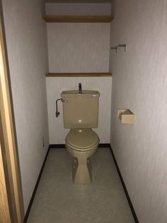 アルフ元宮の画像