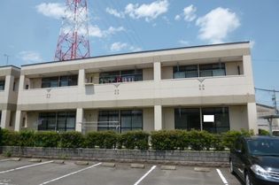 ダイアンサス82の画像