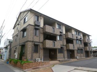 エクセラン彩の画像