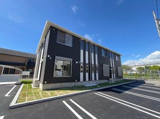 ダイアンサス3の画像