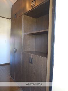 ソフィアライトの画像