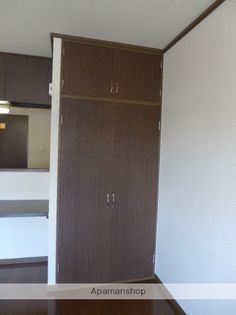 ソフィアライトの画像