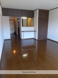 ソフィアライトの画像