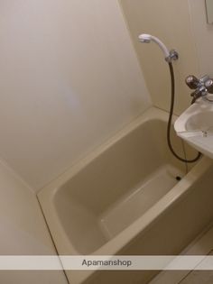 ソフィアライトの画像