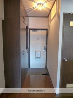 ソフィアライトの画像