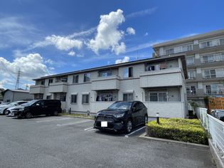 サニー ルピナス3の画像