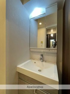 パルティール金山の画像