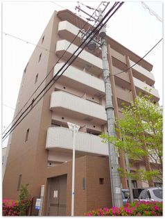 ソレアードコートの画像