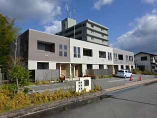 ヴァンベールの画像