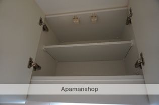 スプランディッド放出の画像