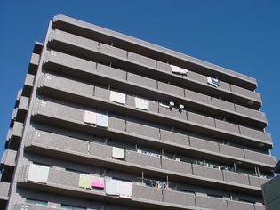 ロイヤルクレストの画像