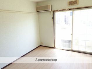 ゴールデンスピカの画像