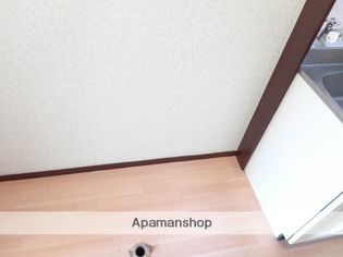 ゴールデンスピカの画像