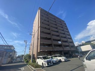 コレンテの画像