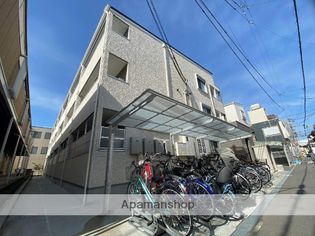 LALLA PALLOOZAの画像