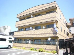 ヴィヴィッドの画像