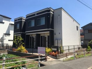 パーチェの画像