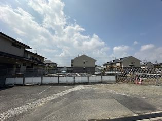 HONEY BEAR Bの画像
