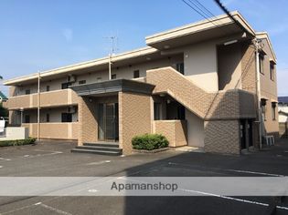 フル—ヴ394の画像