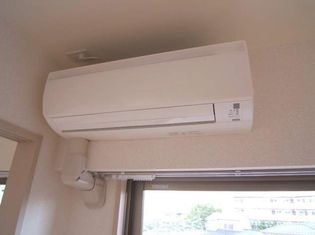 グリーン フォレストの画像