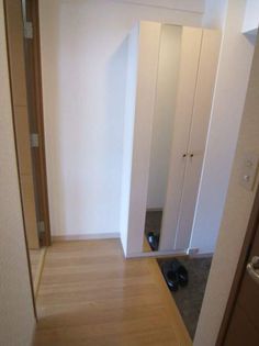 グリーン フォレストの画像