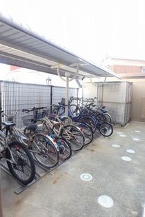 グリーン フォレストの画像