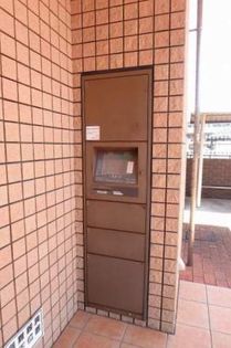 グリーン フォレストの画像