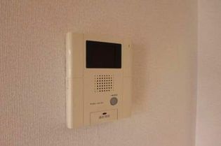 グリーン フォレストの画像