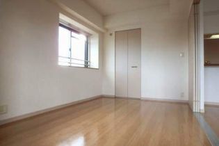 グリーン フォレストの画像