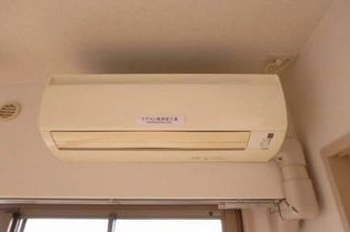 グリーン フォレストの画像