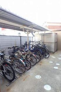 グリーン フォレストの画像