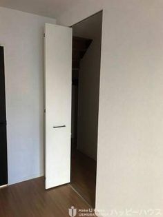 ロータスの画像