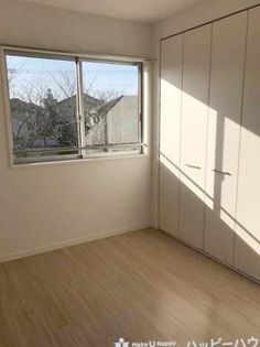 ロータスの画像