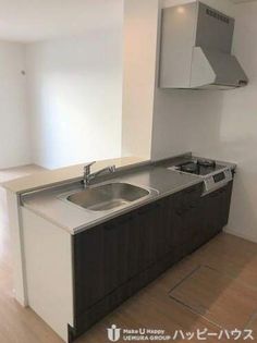 ロータスの画像