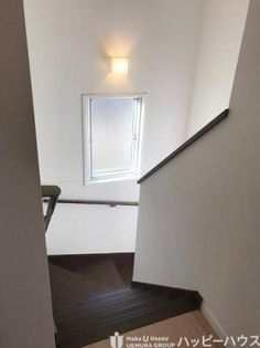 ロータスの画像