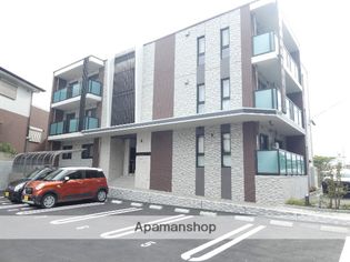 ELEGANCE ACEの画像