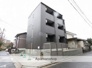 SUNLOTUS和白の画像