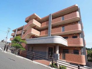 ハミングバード上吉田の画像